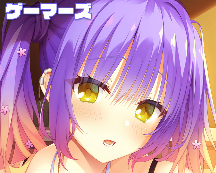 ゲーマーズ